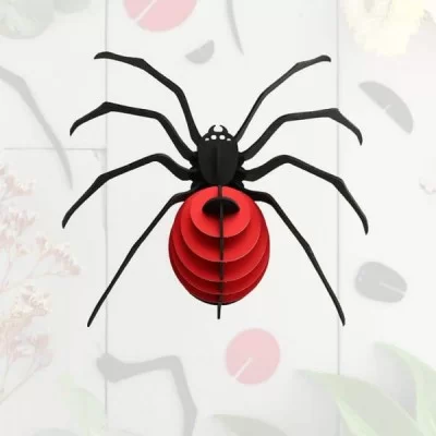 Araignée Rouge Rubis Assembli - Maison James Close à Antibes