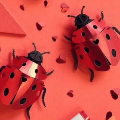 Insecte Coccinelle en Papier à Assembler Assembli - Maison James Close à Antibes